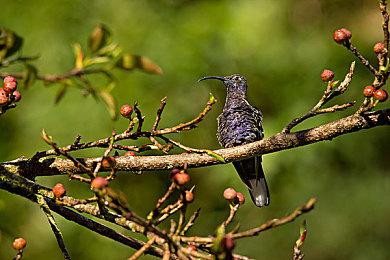 《使命召唤19》排位匹配模式至少要到明年才会添加
